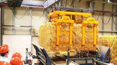 Chia sẻ kinh nghiệm đánh giá tác động môi trường - xã hội dự án điện sinh khối