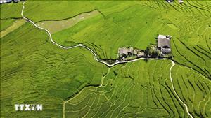 Những điểm đến đẹp nhất Việt Nam vào tháng 3