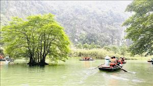 Khai mạc Hội chợ Du lịch Quốc tế Việt Nam 2026