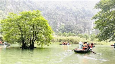 Khai mạc Hội chợ Du lịch Quốc tế Việt Nam 2026