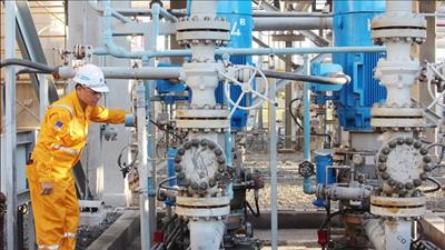 Phê duyệt khung chính sách về bồi thường, hỗ trợ, tái định cư dự án đường ống dẫn khí Lô B - Ô Môn