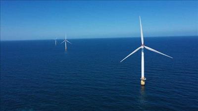 EU hợp tác với Việt Nam triển khai các sáng kiến chuyển đổi xanh, chuyển đổi năng lượng