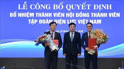 Bổ nhiệm thành viên Hội đồng thành viên EVN