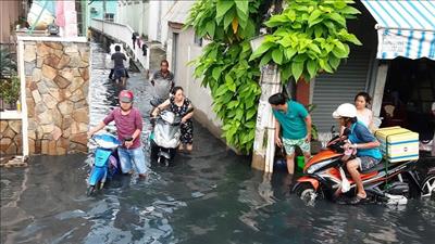 EVNHCMC chủ động ứng phó với ngập lụt