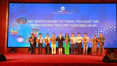 EVNNPC vinh danh doanh nghiệp sử dụng điện tiết kiệm, hiệu quả