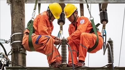 EVNNPC và EVNNPT trao đổi về các dự án theo thỏa thuận phối hợp