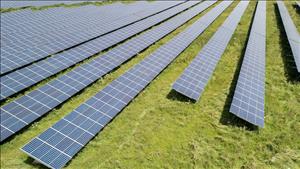 Tỉnh Gia Lai chấp thuận chủ trương đầu tư dự án nhà máy điện mặt trời công suất 50MW