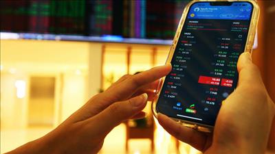 Danh mục cổ phiếu cần quan tâm ngày 31/12