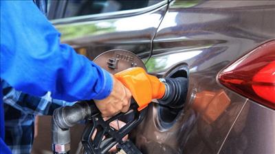 Cần người dân và doanh nghiệp chung tay cùng Chính phủ 