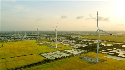 Tỉnh Cà Mau chấp thuận chủ trương đầu tư 4 dự án điện gió