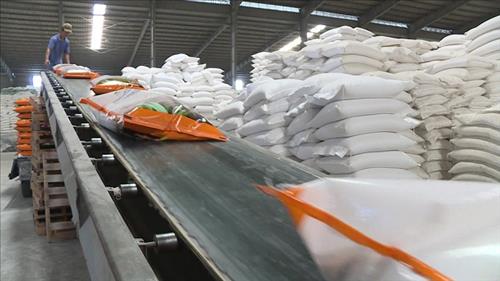 Nâng cao giá trị gia tăng trong xuất khẩu gạo