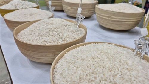 Chính phủ ban hành quy định về kinh doanh xuất, nhập khẩu gạo