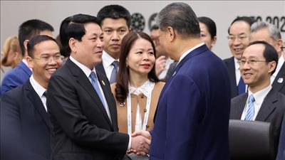 Chủ tịch nước Lương Cường gặp Tổng Bí thư, Chủ tịch nước Trung Quốc Tập Cận Bình