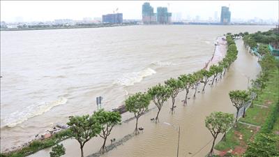 Giảm lãi suất cho khách hàng vay vốn chính sách bị ảnh hưởng bởi bão số 12