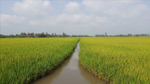 Nâng cao năng lực kiểm kê khí nhà kính, thực hiện mục tiêu giảm phát thải