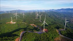 Quảng Trị chấp thuận chủ trương đầu tư hai dự án điện gió