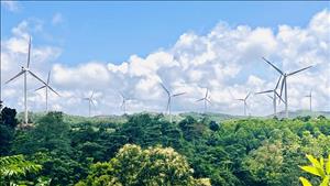 Quảng Trị chấp thuận chủ trương đầu tư dự án điện gió hơn 9.000 tỷ đồng