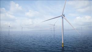 Phê duyệt nhà đầu tư thực hiện dự án Nhà máy điện gió Hòn Trâu