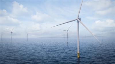 Phê duyệt nhà đầu tư thực hiện dự án Nhà máy điện gió Hòn Trâu