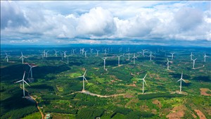 Bản tin năng lượng số 30/2026