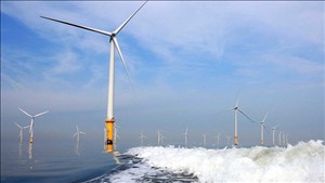 Cơ hội phát triển chuỗi công nghiệp từ điện gió ngoài khơi