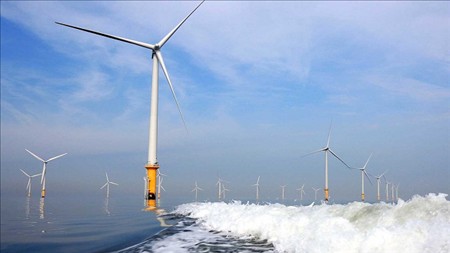 Cơ hội phát triển chuỗi công nghiệp từ điện gió ngoài khơi