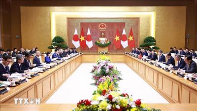 Thúc đẩy quan hệ Việt Nam - Nhật Bản phát triển phong phú, thực chất, hiệu quả hơn