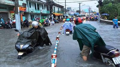Hà Lan mong muốn hợp tác xây dựng hệ thống chống ngập cho TPHCM
