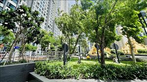 Tái thiết cây xanh đô thị tại Hà Nội