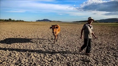Ứng phó tác động của El Nino