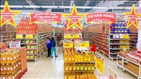 Phê duyệt chương trình Hàng Việt vì người Việt giai đoạn 2026 – 2030