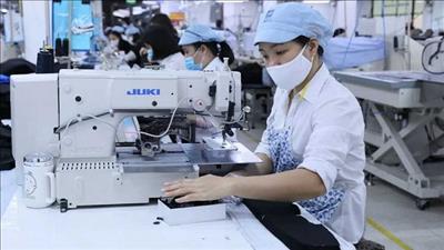 Tăng cường quản lý nguyên liệu nhập khẩu để sản xuất hàng hóa xuất khẩu