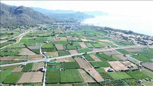 Ráo riết với mục tiêu đưa nhà máy điện hạt nhân đầu tiên đi vào hoạt động sớm