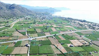 Ráo riết với mục tiêu đưa nhà máy điện hạt nhân đầu tiên đi vào hoạt động sớm