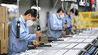 Thủ tướng phê duyệt Kế hoạch thực hiện Hiệp định UKVFTA