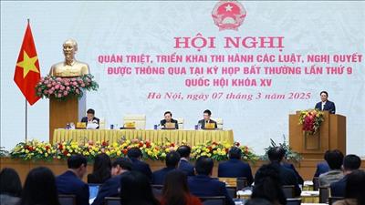 Thủ tướng: Nâng cao chất lượng, bảo đảm tiến độ các văn bản quy phạm pháp luật