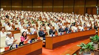 Hội nghị toàn quốc nghiên cứu, học tập, quán triệt và triển khai thực hiện một số Nghị quyết, Chỉ thị của Bộ Chính trị