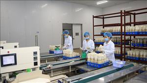 Hà Nội hỗ trợ doanh nghiệp tư nhân trong 5 lĩnh vực trọng điểm