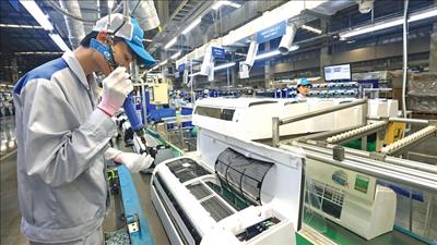 Tập trung triển khai Kế hoạch, công tác hỗ trợ pháp lý cho doanh nghiệp, hộ kinh doanh