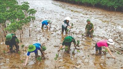 Phổ biến các quy định pháp luật về ứng phó biến đổi khí hậu