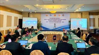 Nhật Bản hỗ trợ ASEAN thúc đẩy hoạt động sử dụng năng lượng tiết kiệm
