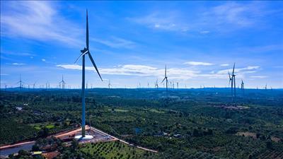 Hợp tác thúc đẩy phát triển năng lượng tái tạo