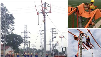 Đào tạo thi công, sửa chữa lưới điện 22kV đang vận hành bằng phương pháp platform 