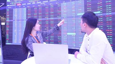 Danh mục cổ phiếu cần quan tâm ngày 12/2