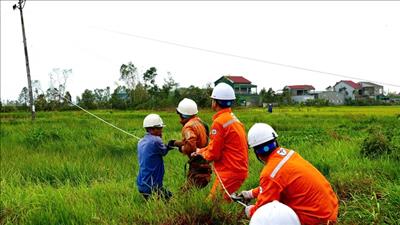 Triển khai một số nhiệm vụ trọng tâm về công tác phòng, tránh, ứng phó, khắc phục hậu quả thiên tai