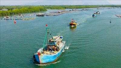 Chuyển đổi một số nghề khai thác hải sản ảnh hưởng đến môi trường sinh thái