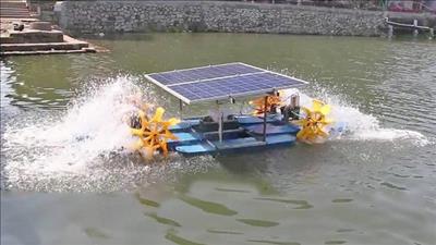 Lợi ích kép từ giải pháp điện mặt trời phục vụ nuôi tôm