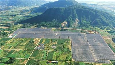 Doanh nghiệp Bồ Đào Nha tìm hiểu cơ hội đầu tư dự án năng lượng tái tạo tại Khánh Hòa và Ninh Thuận