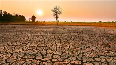 Dự báo diễn biến và nguy cơ tác động El Nino trong giai đoạn 2026 – 2027