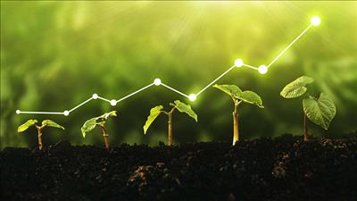 BRICS thông qua văn kiện đầu tiên về tài chính khí hậu